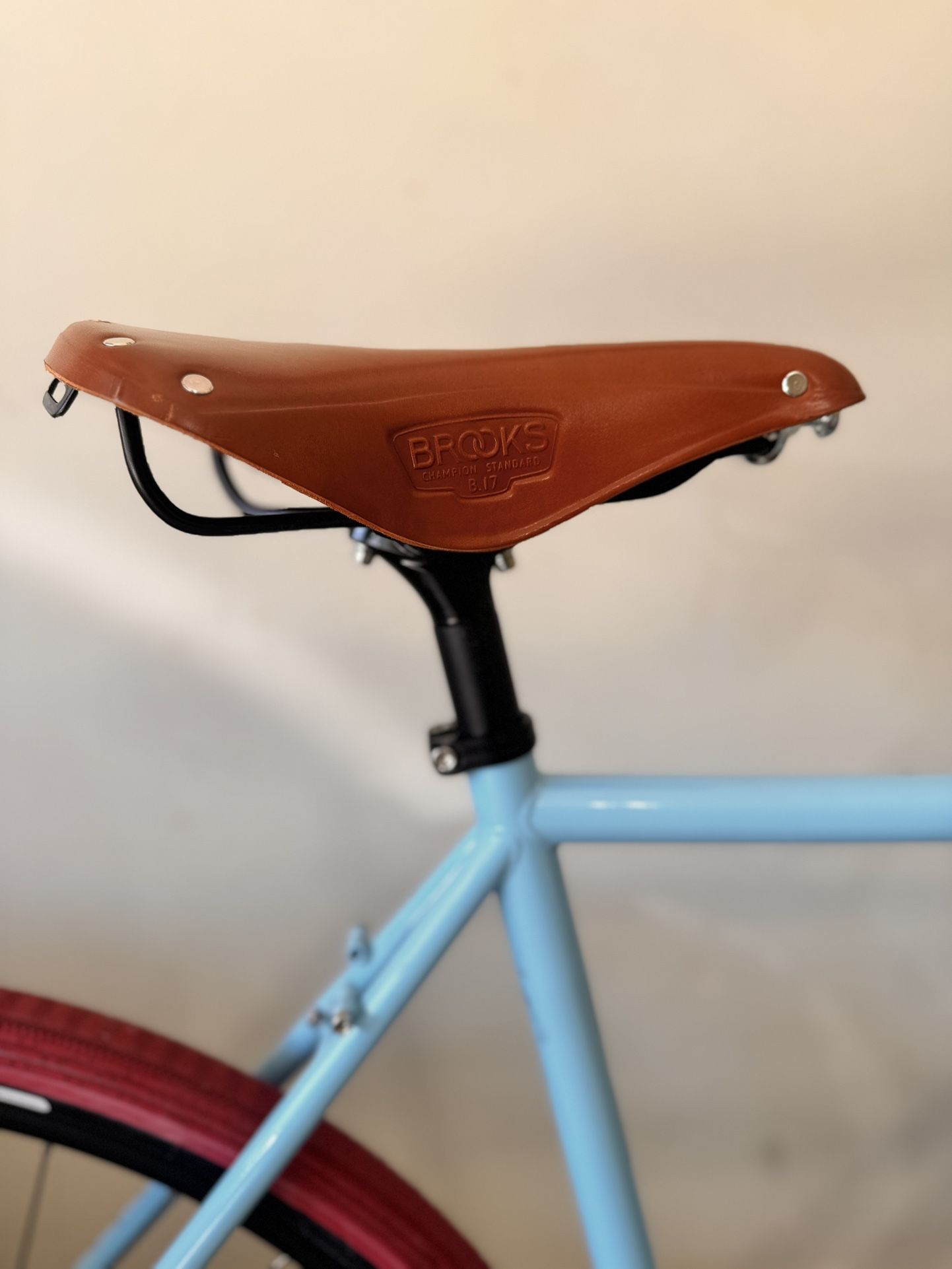 🌺 Surly Preamble🌺