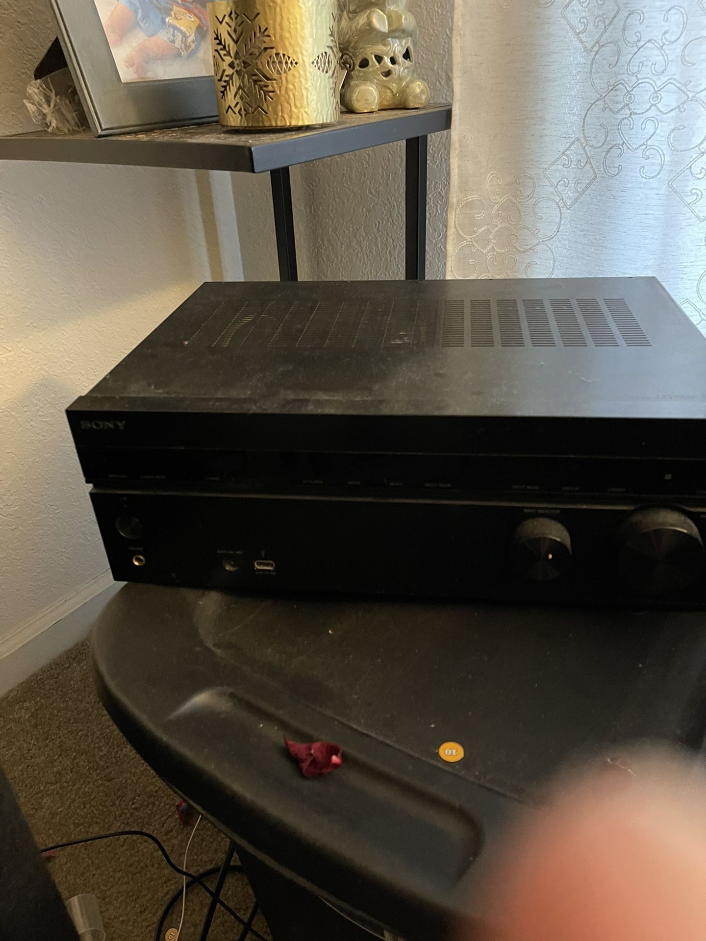 Speaker With Sony Amplifier $350