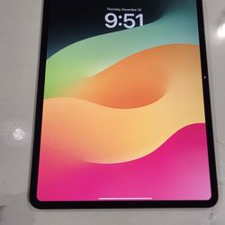 iPad Pro M4 13 Inches 256g
