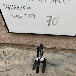 Heavy Duty Cast Squeezer