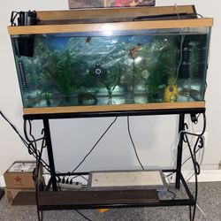 35 Gallon Fish Tank No Leaks