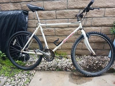 Mountain Bike (Specialized RockHopper Comp) 