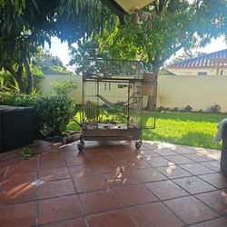 STAINLESS STEEL CAGE JAULA  SUN CONURE COTORRA DEL SOL HIGH YELLOW