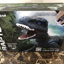 Raptor Remote Control Toy Boys Fun Present White Elephant 