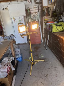 Workforce dual light