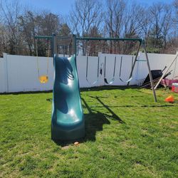 Lifetime Swingset