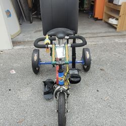 Freedom Bike For Special Needs.