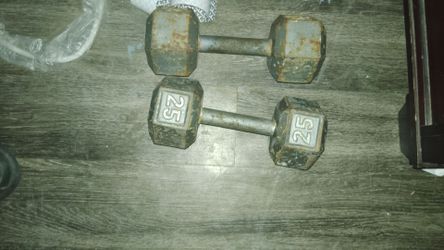 2 25lbs dumbbells with abs wheel