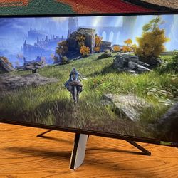 Sony Nzone Gaming Monitor