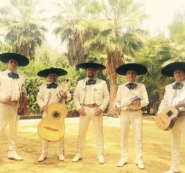 Violin Mariachi