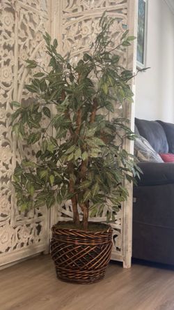 Large Faux Zebra Tree in Woven Basket Planter - 5ft Boho Decor
