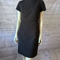 Women’s Dress Size 8P
