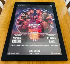🚨UFC FREEDOM 250  OFFICIAL POSTER🚨