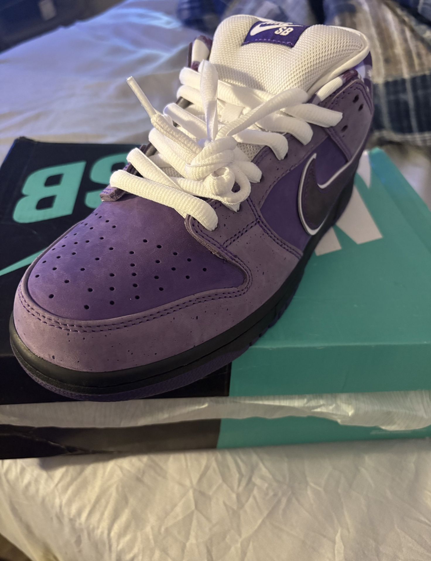 Nike Dunk Purple Lobsters