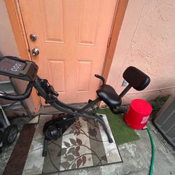 BulbHead Slim Cycle