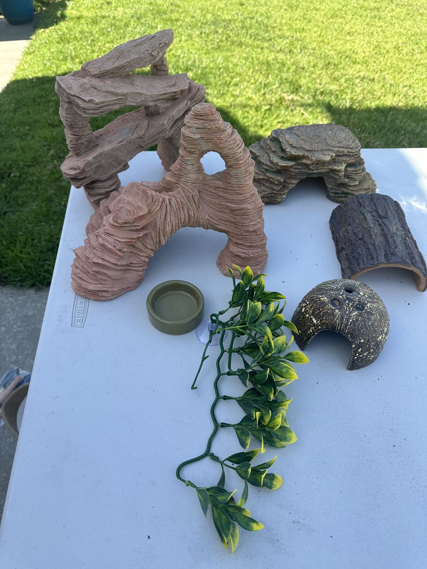 Reptile Decor/lights