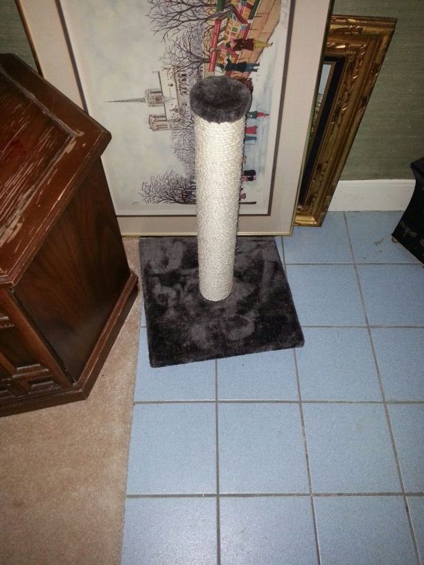 Cat scratcher