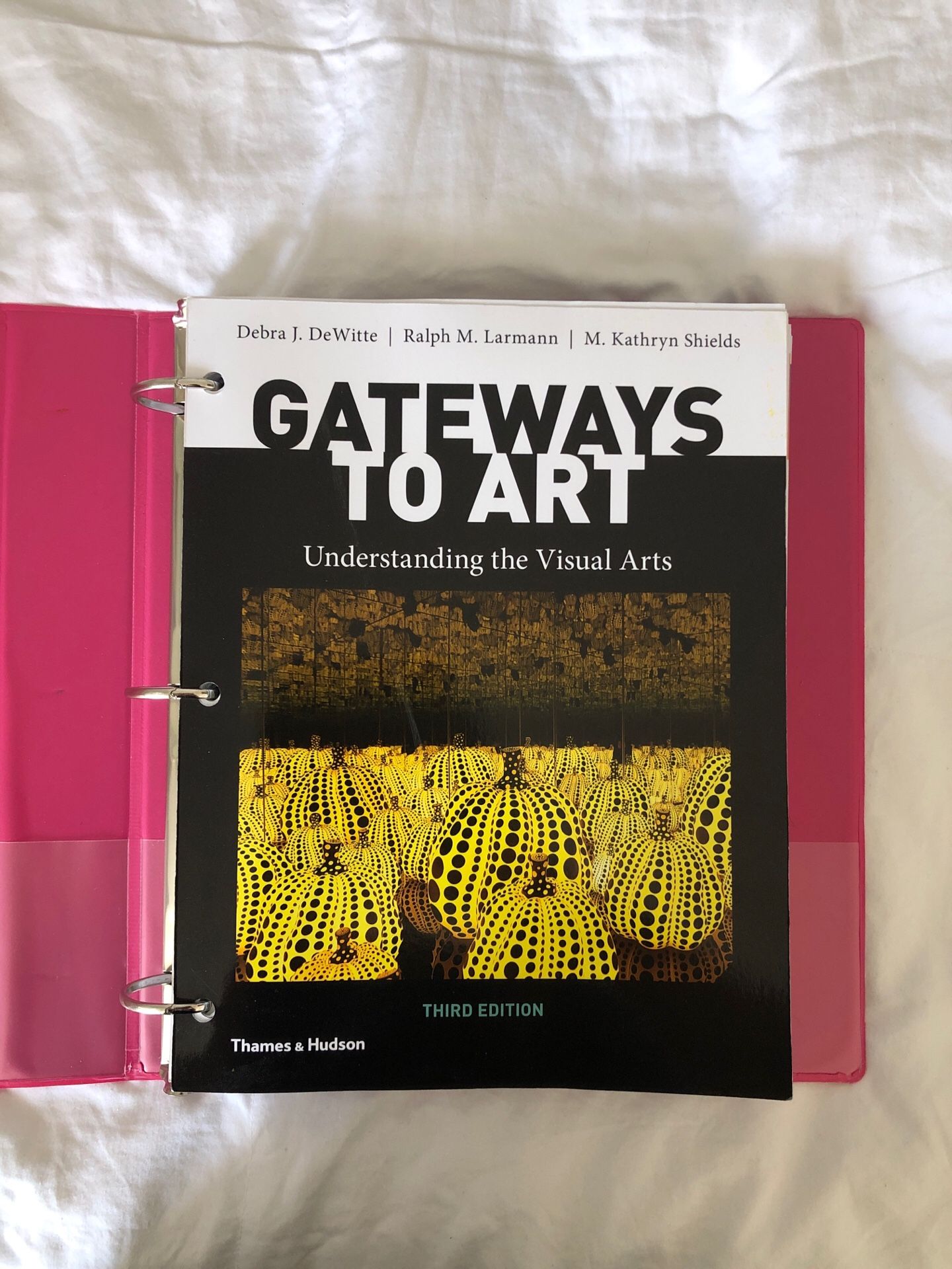 Gateways to Art : understanding the Visual Arts 3rd edition