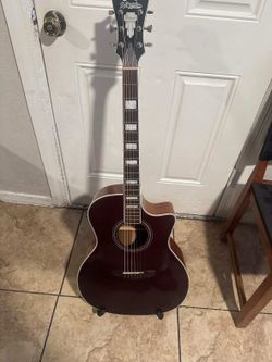 Dangelico 6 string guitar