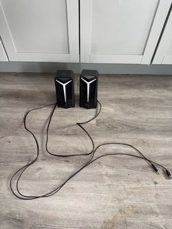 Speaker