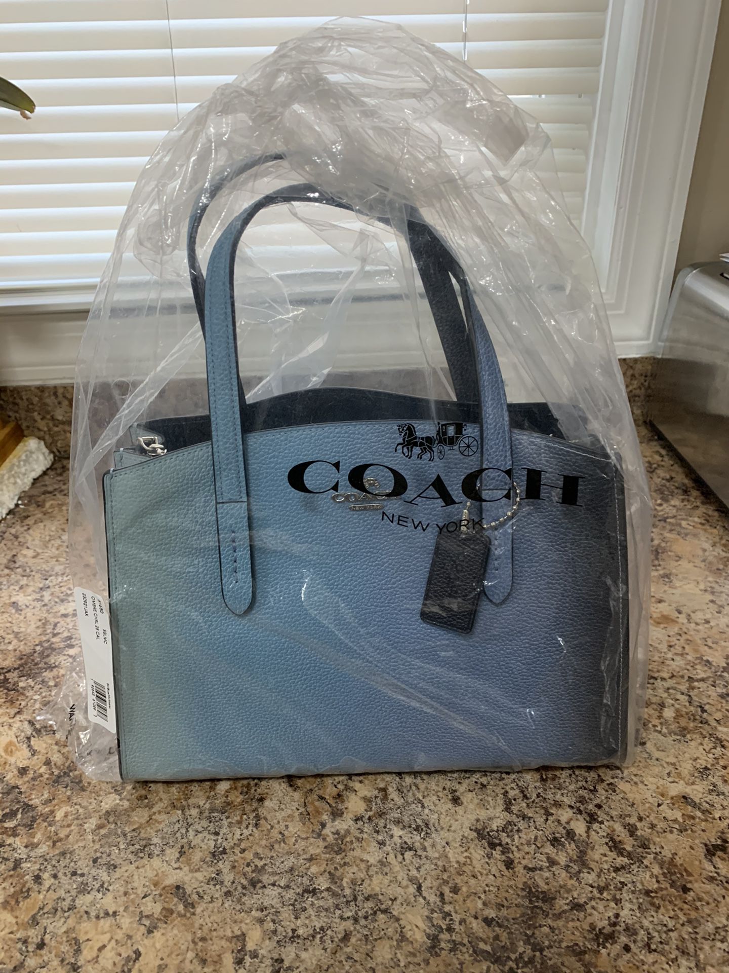 Brand New 2 Tone Blue Coach bag $100