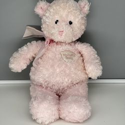 Gund Baby My First Teddy Bear Pink Plush Stuffed Animal 58617 Sewn Eyes 14”