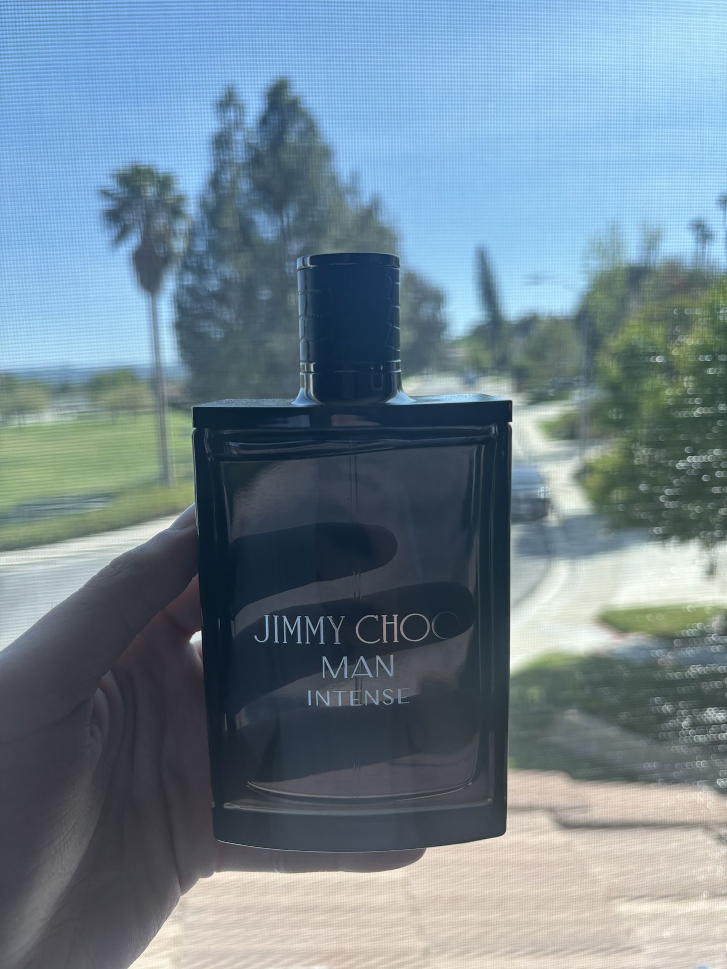 Jimmy Choo Intense Man