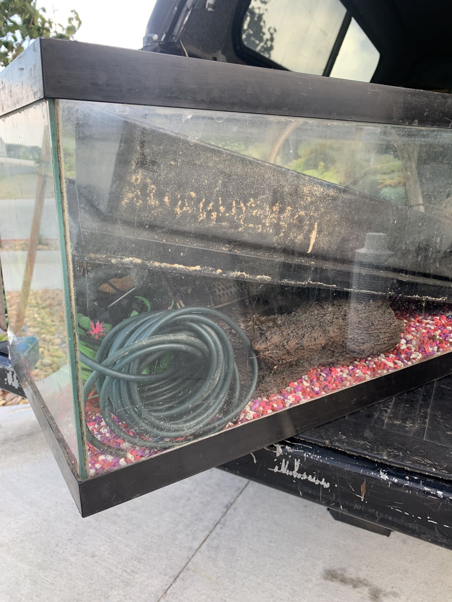 Fish tank With Lots Of Extras