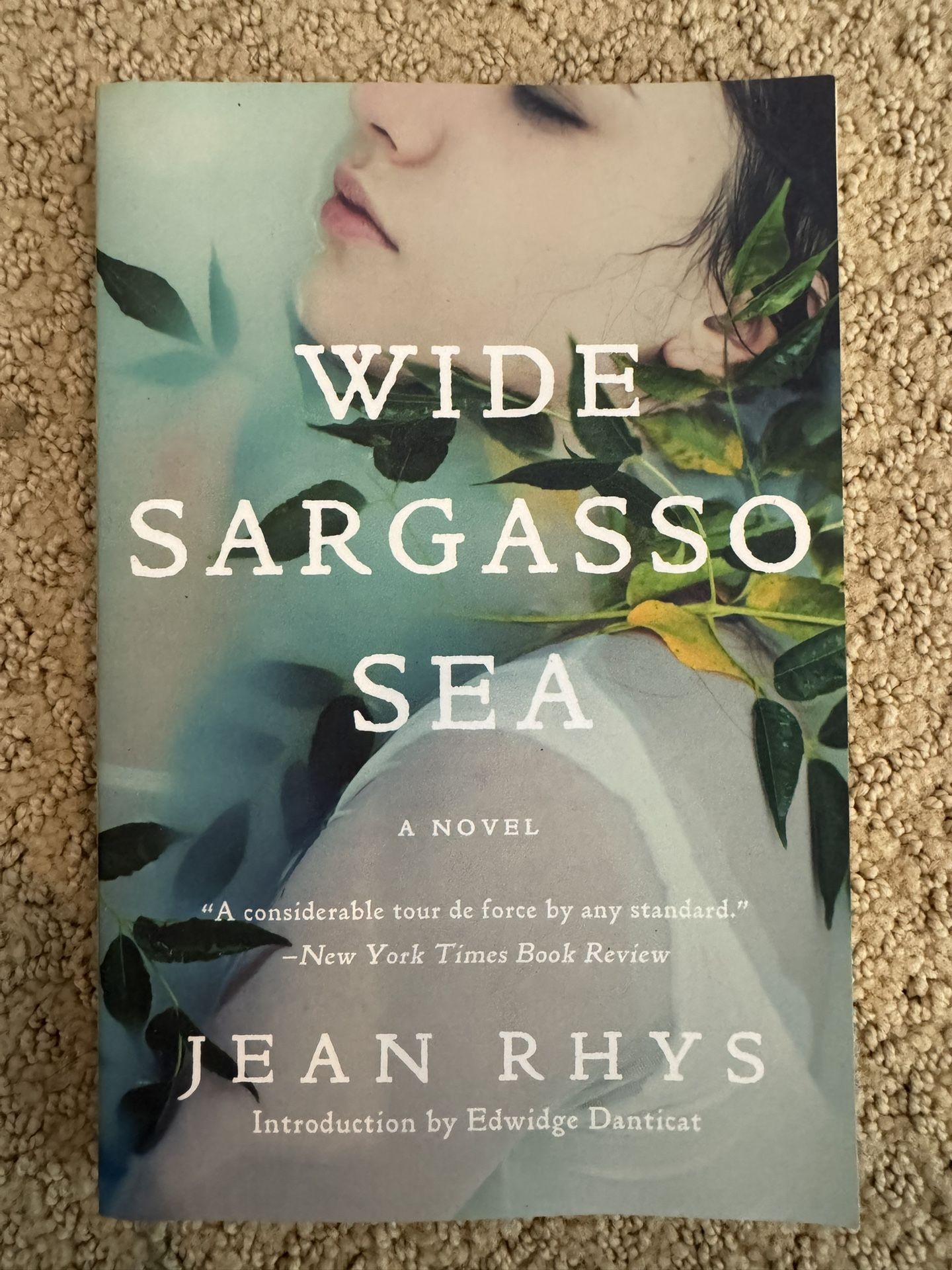 Wide Sargasso Sea by Jean Rhys Book