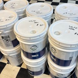 5 Gallon Primer & Paints Just In