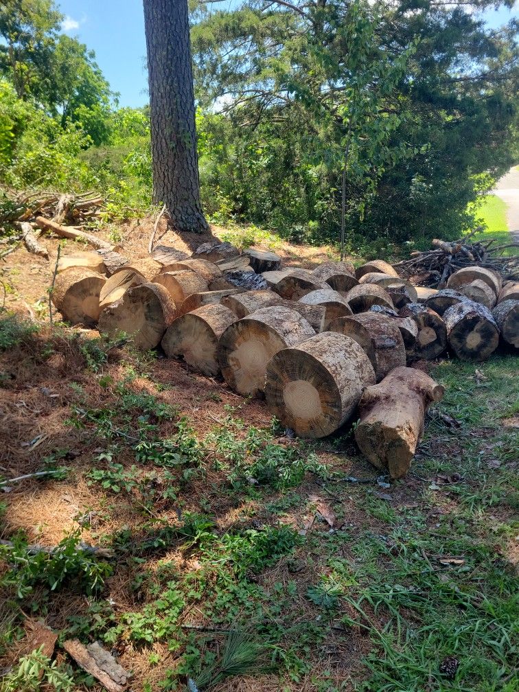 Free Fire 🔥 Wood
