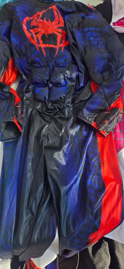 Spiderman costume