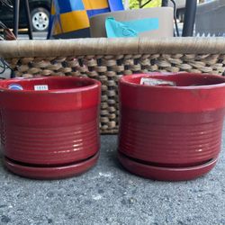 Small planting pots