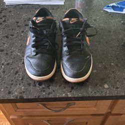 Size 8.5 Brown Nike Dunks