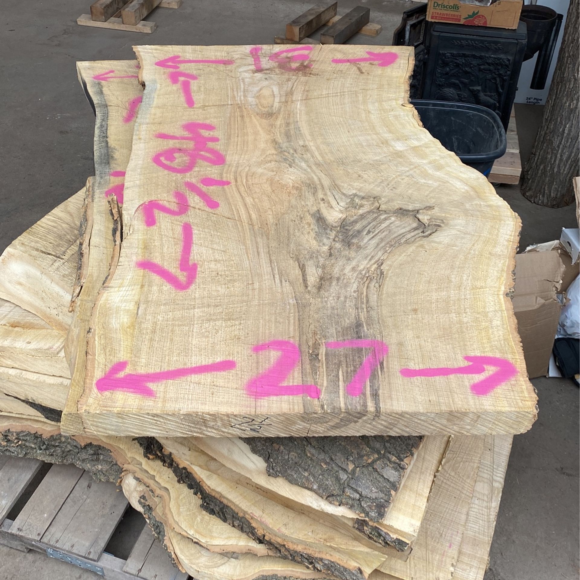 Tree Of Heaven Slabs ~24” X ~48”