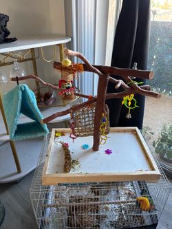 Bird Play Stand with Toys and Cage