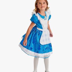 Alice Halloween Costume 5/6