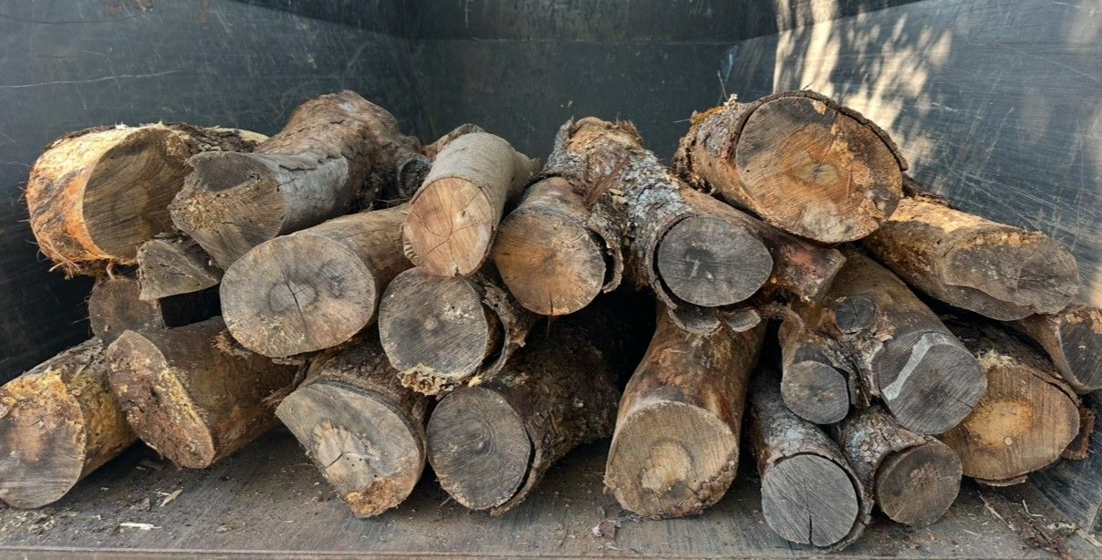 Dry Split Almond Mix Firewood!!!Ready Too Burn Seasoned Wood!!!