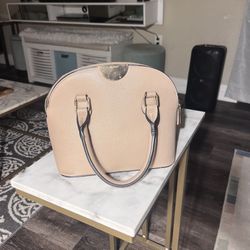 Aldo Purse