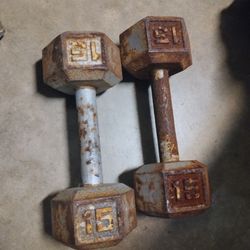 15 lb TSA iron dumbbells