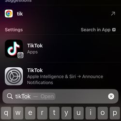 iPhone 16 Pro With TikTok