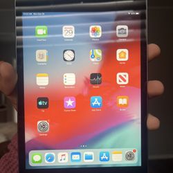 iPad mini 2