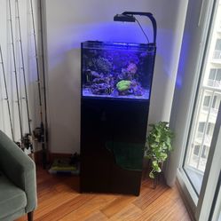 Saltwater Aquarium 