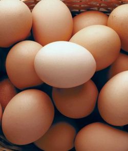 Fresh brown eggs