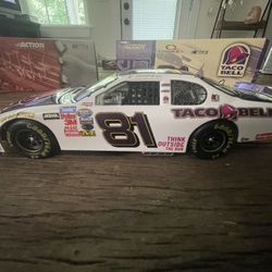 1:24 2004 Monty Carlo. Dale Earnhardt jr #81 Taco Bell
