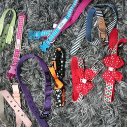 Dog Collar 9 Pack Bundle Lot