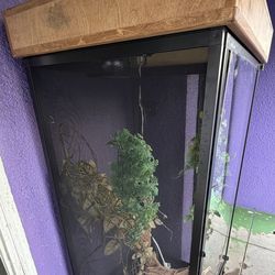 Chameleon cage/ reptile cage