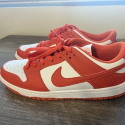 Nike Dunk Size 10 Men’s $65