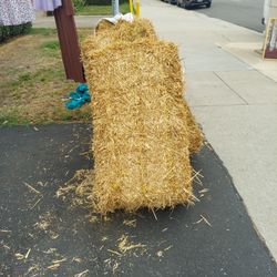 Western Theme Party