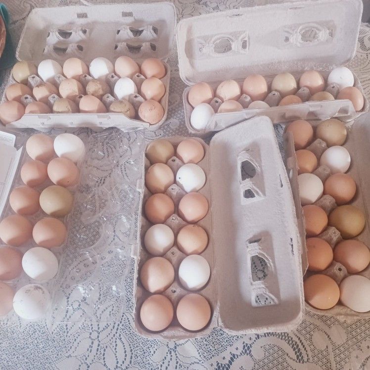 organic eggs